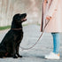 Real Leather Slip Dog Leash for Medium Large Dogs - Soft Sturdy Heavy Duty Flat Pet Training Leash, Brown