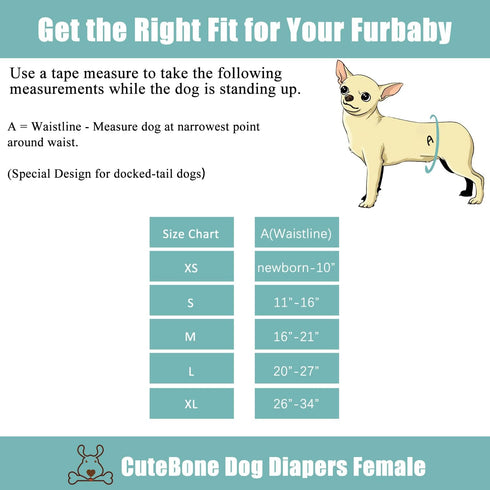 CuteBone Washable Dog Diapers for Female, 3 Pack Puppy Training Pants for Docked-Tail Dogs WWD16M