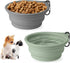Portable Collapsible Dog Bowls 2pcs for Small to Medium Dogs and Cats, BPA Free Travel Bowl for Hiking
