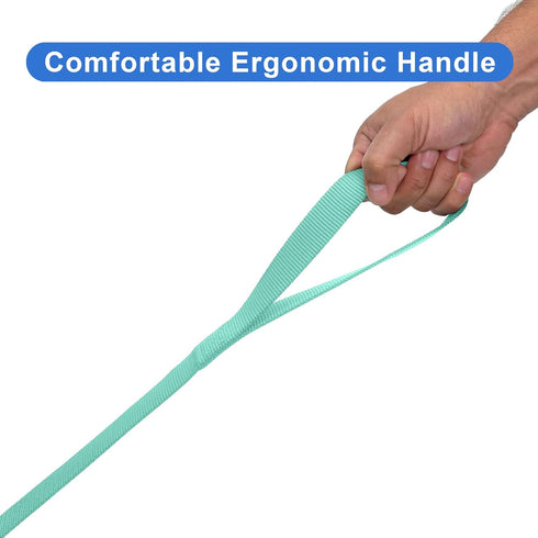 Pawtitas 6 FT Dog Leash - Solid Color Training Leash for Extra Small Dogs or Cats, Teal
