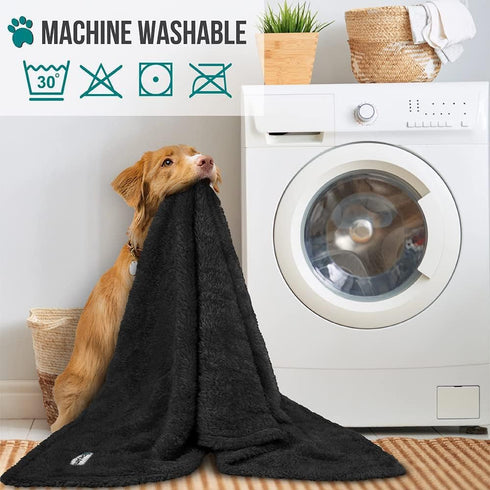 PetAmi Dog Blanket for Small Dogs Black - Fluffy Soft Sherpa Fleece Blanket for Cat & Dog, Washable 24x32