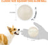 SKIPDAWG Interactive Squeaky Light Up Dog Ball | Glow in Dark, Floating Toy, Durable TPR, 2.5 Inches