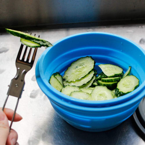 Mr. Peanut's Collapsible Silicone Camping Bowl with Lid & Foldable Fork for Outdoor Use