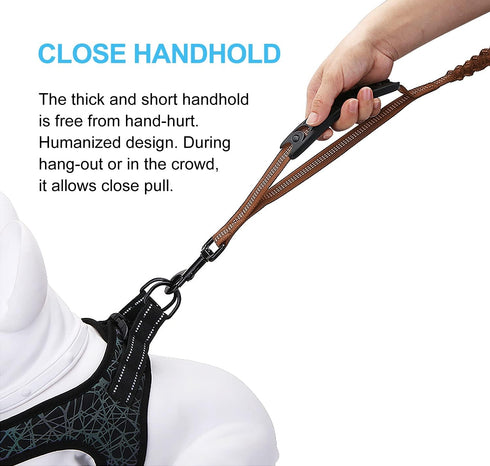 6FT Heavy Duty Elastic Bungee Dog Leash, Shock Absorbing with Comfortable Padded Handle for Medium & Large Dogs