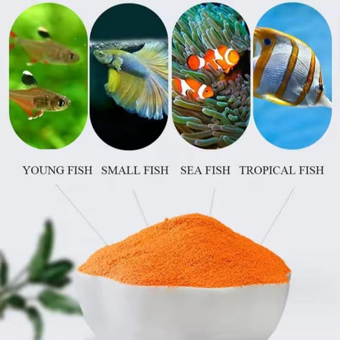 AQUA DEBEAT 2.82 oz (80 Decapsulated Brine Shrimp Eggs Non Hatching, Feeder Included, Natural High Protein Fish Food