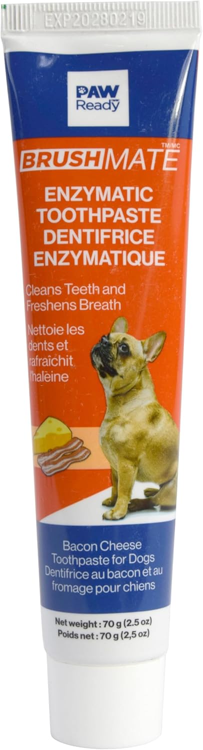 Paw Ready From Doggy Breath to Doggy Fresh Dog Dental Care Enzymatic