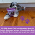 Treats Dog Baby Bullys, Natural Gluten and Grain Free Low Calorie 5 Inch Beef Chews for Small Breeds, Perfect
