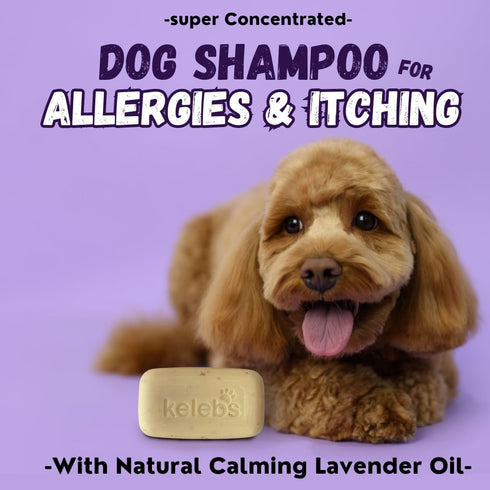Dog Shampoo for Allergies and Itching - All Natural Dog Soap Bar with Lavender Oil & Oatmeal, 3PCS