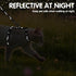 PAWCHIE Cat Harness with Leash and Collar Set - Adjustable H-shaped Harness with Glow in The Dark Pattern