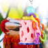 POPETPOP 2 Pcs Bird Chewing Toys - Beak Grinding Stone for Parakeet Treats, Teeth Grinding Chew Toy for Parrot,