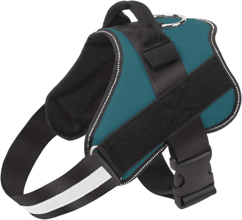Bolux Dog Harness - No-Pull Reflective Vest, Breathable Adjustable Pet Harness for Outdoor Walking (Turquoise, XS)