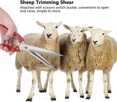 Professional Stainless Steel Sheep Shear: Heavy Duty Safety Sheep Wool Scissor for Grooming Dogs, Cats, and Sheep