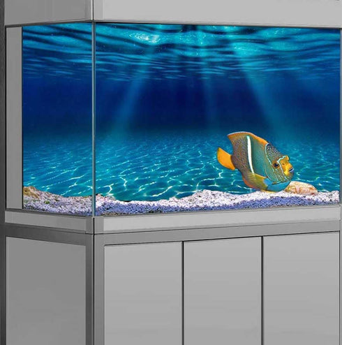 Natural Undersea Aquarium Background, Underwater Ocean Sunlight Fish Tank Background 48X24IN with 8 EVA Double-Sided Tape