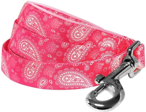 Blueberry Pet 5 Colors Paisley Flower Print Dog Leash, 5 ft x 5/8", Pink, Small