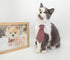 ZTON Pet Bowtie, Handcrafted Adjustable Formal Collar Neck Tie for Dogs & Cats (S, Black Stripe)