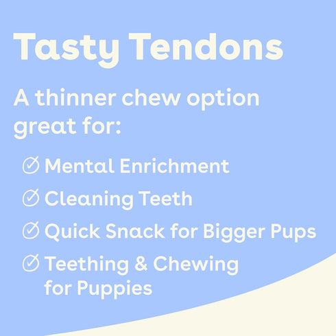 Pupford Turkey Tendon Dog Reward, High-Protein Chews for Healthy Teeth & Joints, 100% Real Turkey, Pack of 10