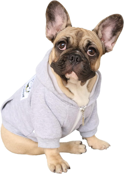 iChoue English Bulldog Clothes Hoodies for Dogs – French Frenchie Pug English Boston Terrier Bully Pitbull Corgi
