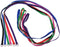 Hypeety 6 Pcs Bulk Pack Slip Leads Dog Pet Grooming Kennel Small Animal Control Shelter Leash