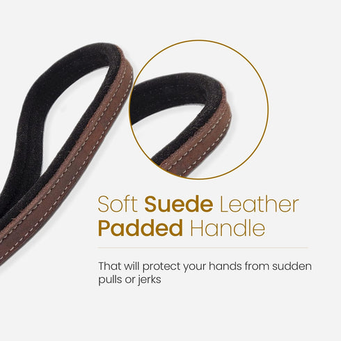 Blazing Paws Vibrania Super Soft Braided Leather Dog Leash, Heavy Duty with Side Ring, 6 Ft L x 3/4" W, Brown Mix