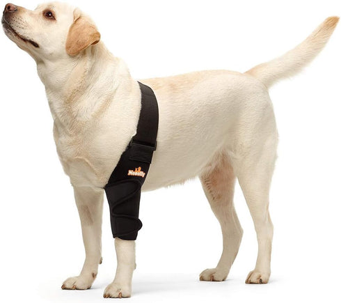 NeoAlly Dog Elbow Brace Protector Pads for Canine Elbow and Shoulder Support