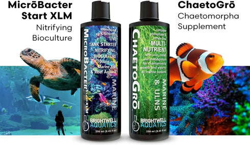Brightwell Aquatics ChaetoGro - Algae Nutrient Supplement for Marine Fish Tanks, 16.9 fl oz