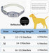 Martingale Dog Collars: Reflective Safety Puppy Collar, Adjustable Soft Nylon Training Collar for Small Medium Large