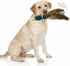 Interactive Mallard Duck Dog Toy, Squeaky Puzzle Toy for Small Medium Large Dogs, Plush Chew Toy