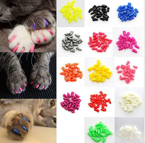 100pcs Cat Nail Caps Kitten Caps with 5pcs Adhesive Glue, 5pcs Applicators, and Instruction