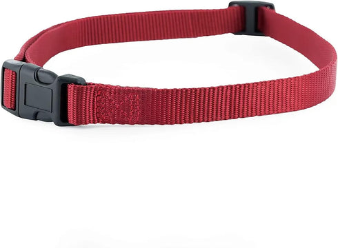 PetSafe 3/4 Replacement Collar Strap, No Holes for Bark, Wireless Fence, In-Ground Fence, Rust/Red
