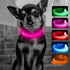 Candofly Puppy Light Up Dog Collar - USB Rechargeable LED Dog Collar for Small Dogs & Cats, Night Walking (X-Small,