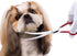LovinPet 6CR Dog Grooming Scissors - Curved Safety Blunt-tip Scissors for Dogs & Cats, Left/Right-Handed