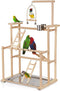 Pet Parrot Playstand Parrots Bird Playground Bird Play Stand Wood Perch Gym