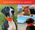 SPOT THE DOG! Reflective Adjustable Dog Collar - Durable, Comfortable Walking Accessories for Medium Dogs, Blaze