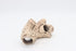 ALEGI Aquarium Decoration Rock Caves, Safe Hideaway for Shrimp, Cichlid, Betta Fish (TreeStumpL+S)