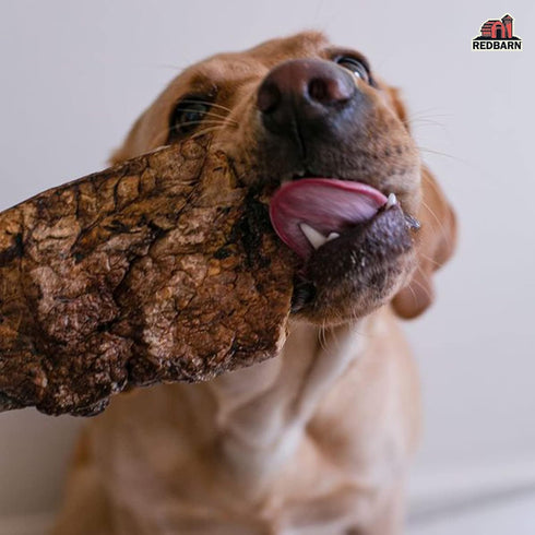 Pack 2 Redbarn Beef Lung Choppers Dog Chew, All-Natural high-Protein Low-Fat Grain-Free, Highly Palatable Treats