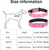 Rhinestones Dog Collar - Adjustable Sparkly Crystal Studded Genuine Leather Collar for Small and Medium Dogs (S, Purple)