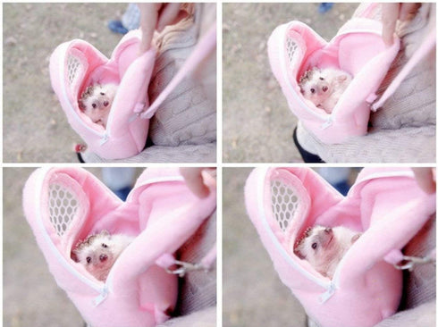 Backpack Yosoo Portable White Mesh African Hedgehog Hamster Breathable Pet Dog Carrier Bags Handbags Puppy Cat Travel