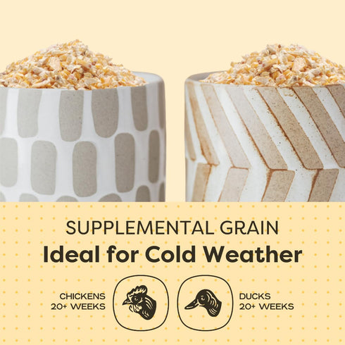 8 lbs 7.5% Scratch and Peck Cracked Corn Chicken, Duck and Livestock Supplemental Grain - Bag - Protein, Certified