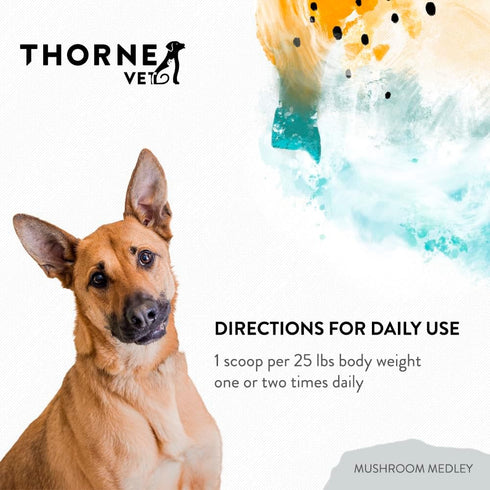 ThorneVet Mushroom Medley for Dogs - 120 Scoops with Reishi, Turkey Tail, Cordyceps, Maitake, and Chaga Mushrooms for