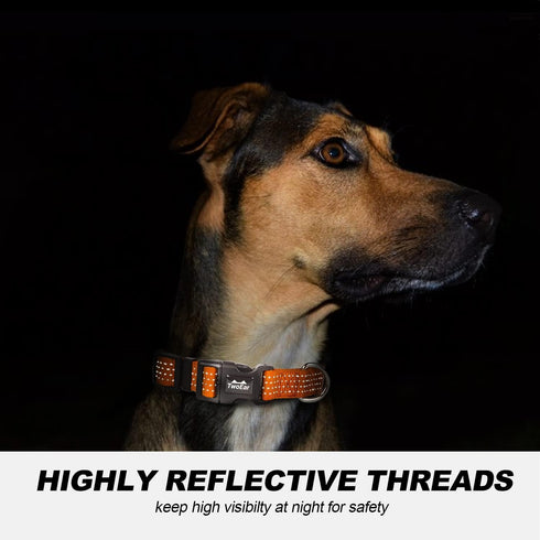 TwoEar Heavy Duty Reflective Dog Collar, Adjustable Nylon Pet Collar with Durable Buckle for Small Breeds Dog (S,