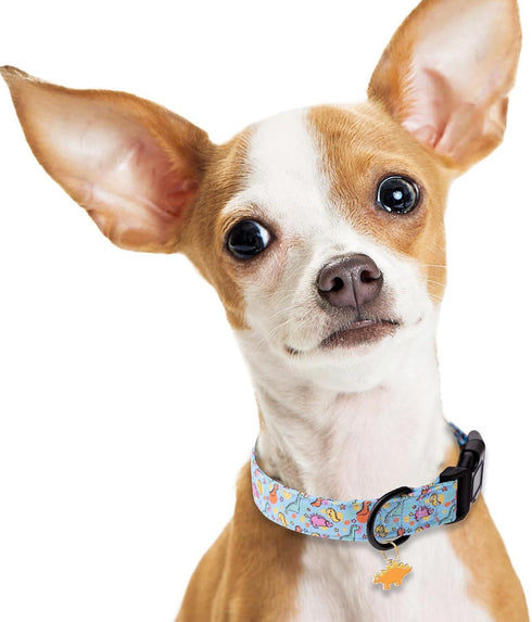 Faygarsle Dog Collar for Small Medium Large Dogs, Cute Blue Dinosaur Patterned Collars for Summer Spring