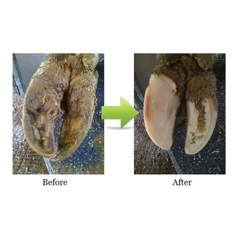 Hoof Trimming Disc, Professional Electric Hoof Repair Tool, Wood Turbo Carving Disc, 6/8 Teeth Metal Hoof Trimming