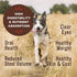 Primal Freeze Dried Raw Dog Food Nuggets - Rabbit - Complete & Balanced Meal - Premium, Healthy, Grain Free, High