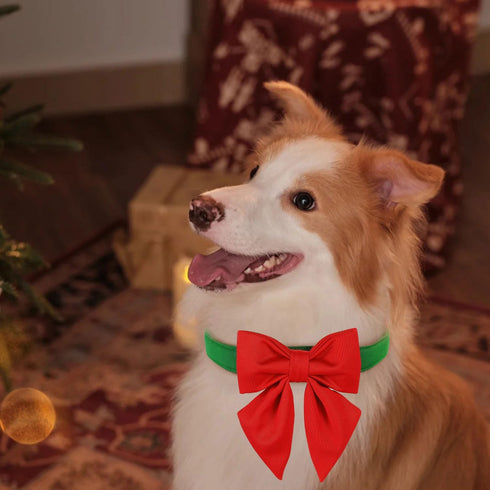 Maca Bates Christmas Red Green Dog Collar with Bow Tie - Adjustable Breakaway Collars for Solid Colors Dogs Gift for