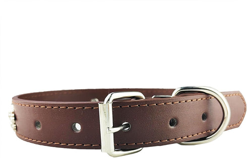 New Skull Dog Collar, Skeleton Design Pet Collar for Dogs and Cats, Brown Medium, Fits Neck Girth 11.5" to 13.5"