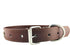 New Skull Dog Collar, Skeleton Design Pet Collar for Dogs and Cats, Brown Medium, Fits Neck Girth 11.5" to 13.5"