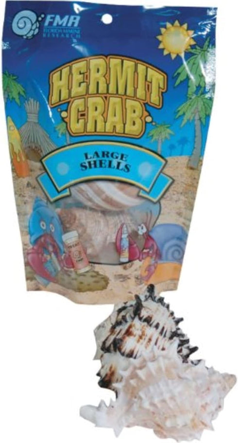 Shells for Hermit Crabs, Large, 2 Pack