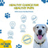 Premium Bully Sticks for Dogs, 100% Natural Beef Dog Treats, Long-Lasting Chew for Aggressive Chewers, 6 Inches, Pack