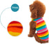 Live Aquarium Plants Dog Vest - Funky Striped Shirt for Dogs, Blue Aquarium Gravel Shirt