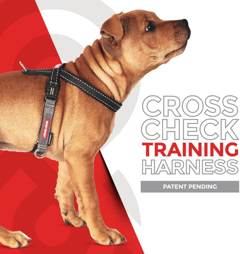 EzyDog Crosscheck Harness - Dog Training No Pull Harness, Escape Proof, Reflective, Comfortable Fit (S, Blue)
